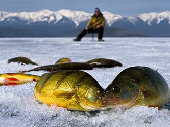 Зимняя рыбалка. Открытие сезона 2016 - 2017